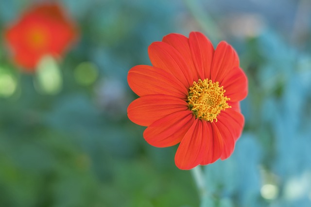 罗马诺：西汉姆联向博塔弗戈报价门将维克托，金额800万欧