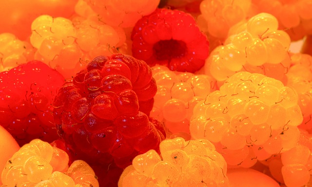 ATP官宣：费德勒入选2026届国际网球名人堂 生涯20座大满贯冠军